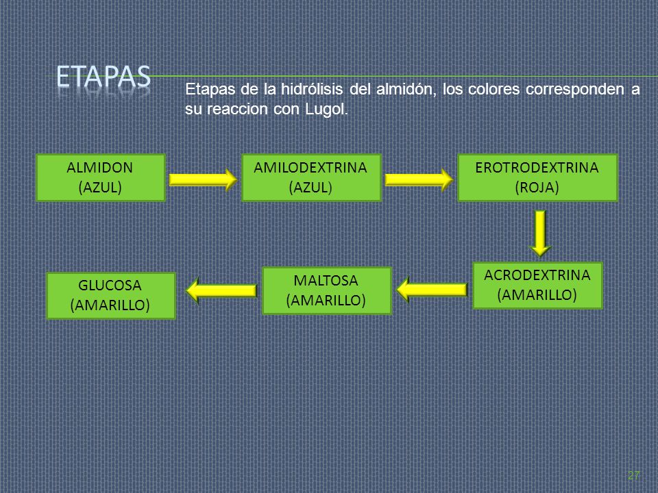 Etapas Etapas de la hidrólisis del almidón, los colores corresponden a su reaccion con Lugol. ALMIDON.