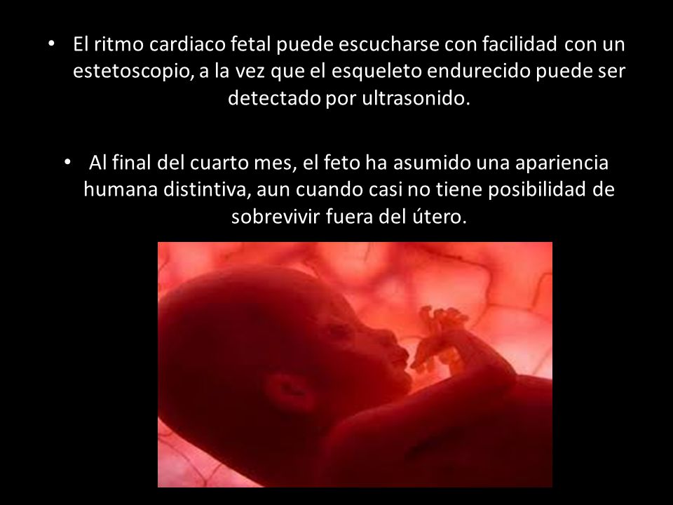 El ritmo cardiaco fetal puede escucharse con facilidad con un estetoscopio, a la vez que el esqueleto endurecido puede ser detectado por ultrasonido.