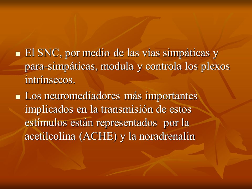 El SNC, por medio de las vías simpáticas y para-simpáticas, modula y controla los plexos intrínsecos.