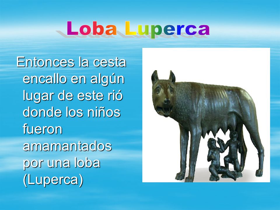 Loba Luperca Entonces la cesta encallo en algún lugar de este rió donde los niños fueron amamantados por una loba (Luperca)