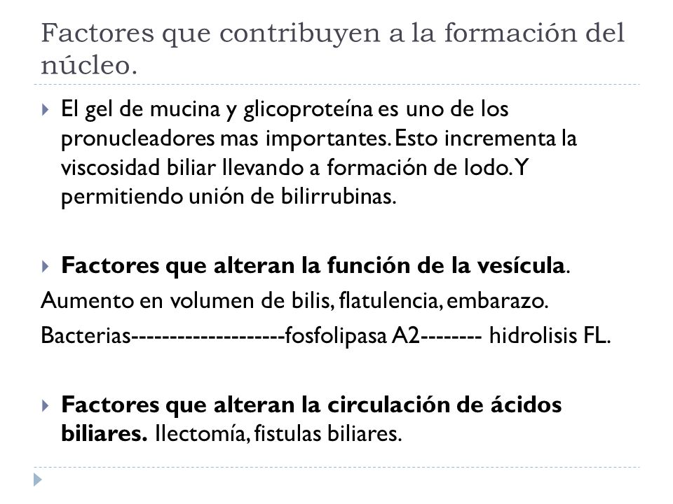 Factores que contribuyen a la formación del núcleo.