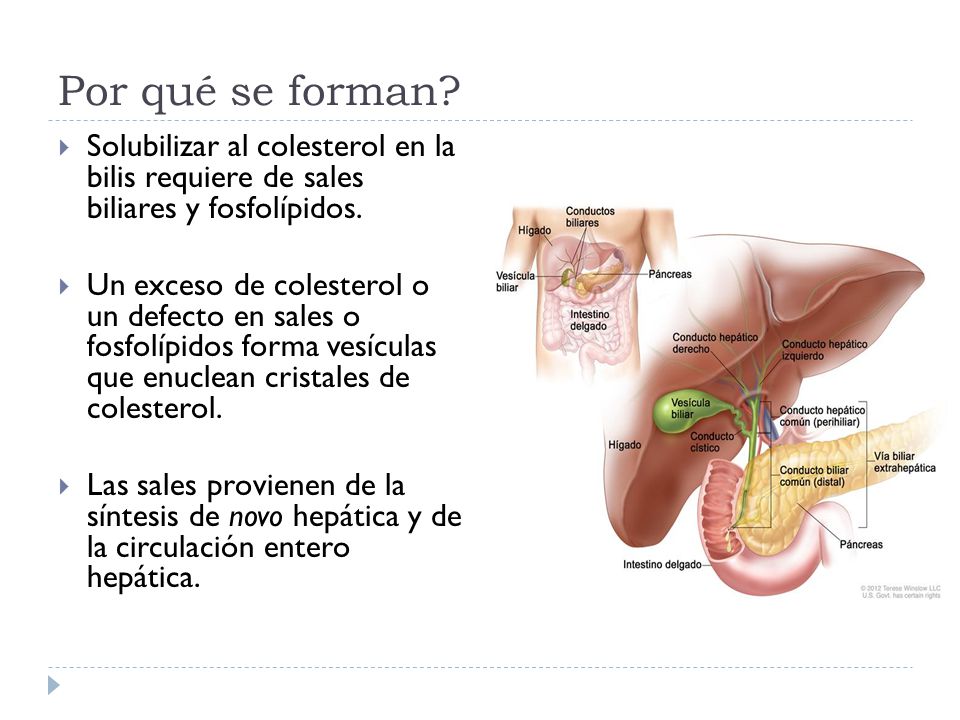 Por qué se forman Solubilizar al colesterol en la bilis requiere de sales biliares y fosfolípidos.