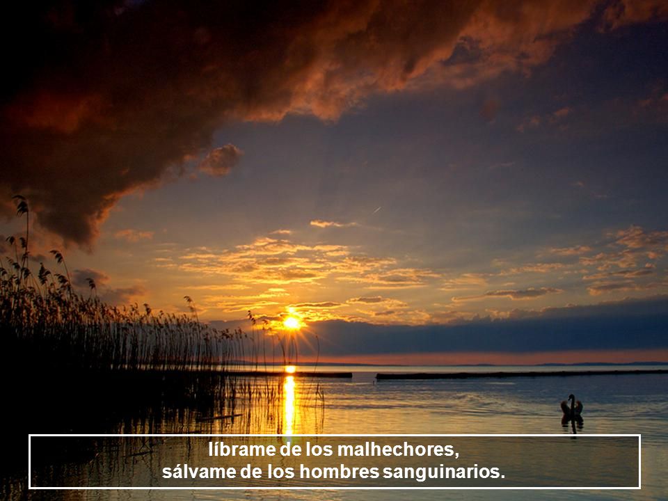líbrame de los malhechores, sálvame de los hombres sanguinarios.