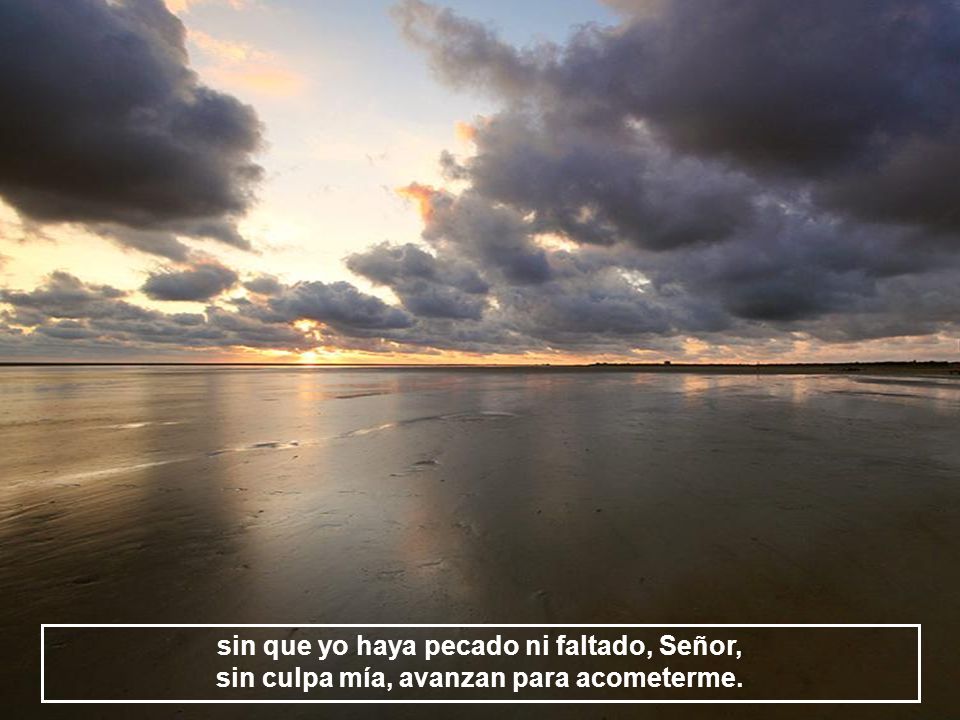 sin que yo haya pecado ni faltado, Señor, sin culpa mía, avanzan para acometerme.