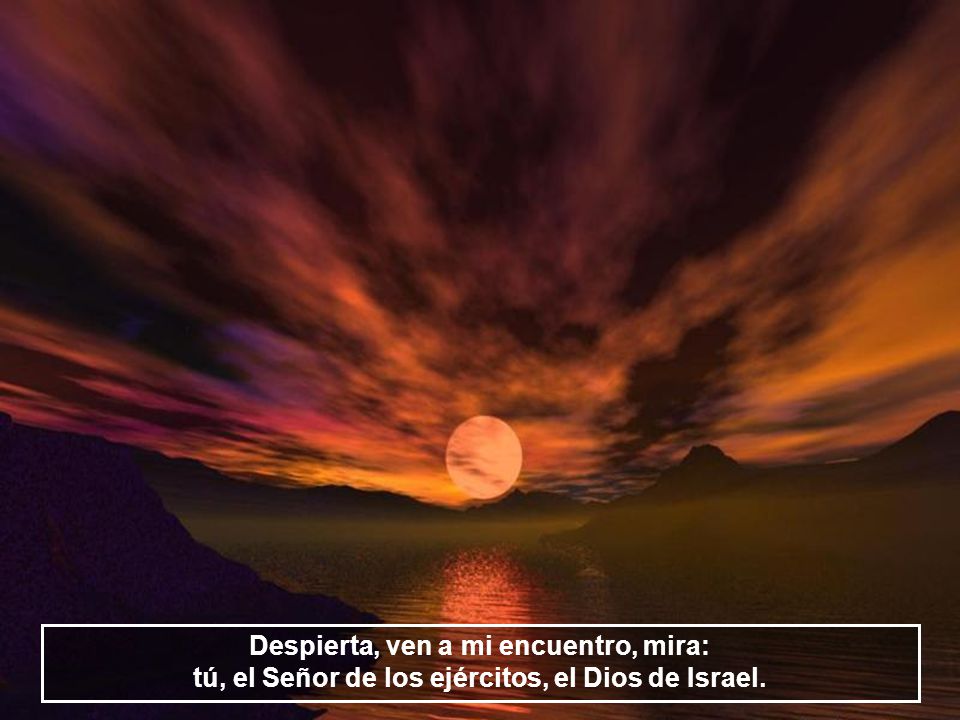 Despierta, ven a mi encuentro, mira: tú, el Señor de los ejércitos, el Dios de Israel.