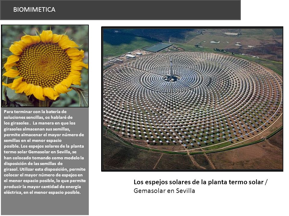 Los espejos solares de la planta termo solar / Gemasolar en Sevilla