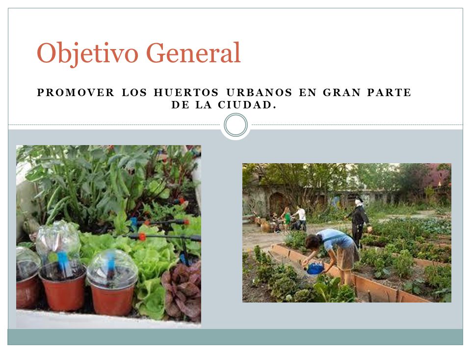 Promover los huertos urbanos en gran parte de la ciudad.