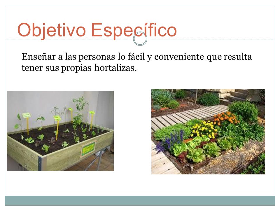Objetivo Específico Enseñar a las personas lo fácil y conveniente que resulta tener sus propias hortalizas.