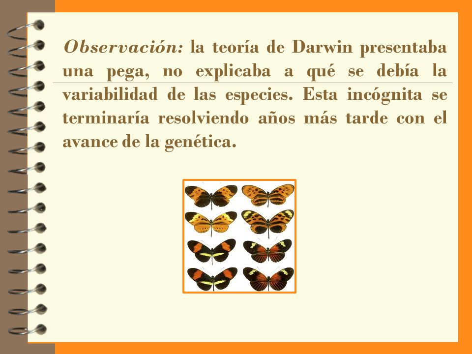 Observación: la teoría de Darwin presentaba una pega, no explicaba a qué se debía la variabilidad de las especies.