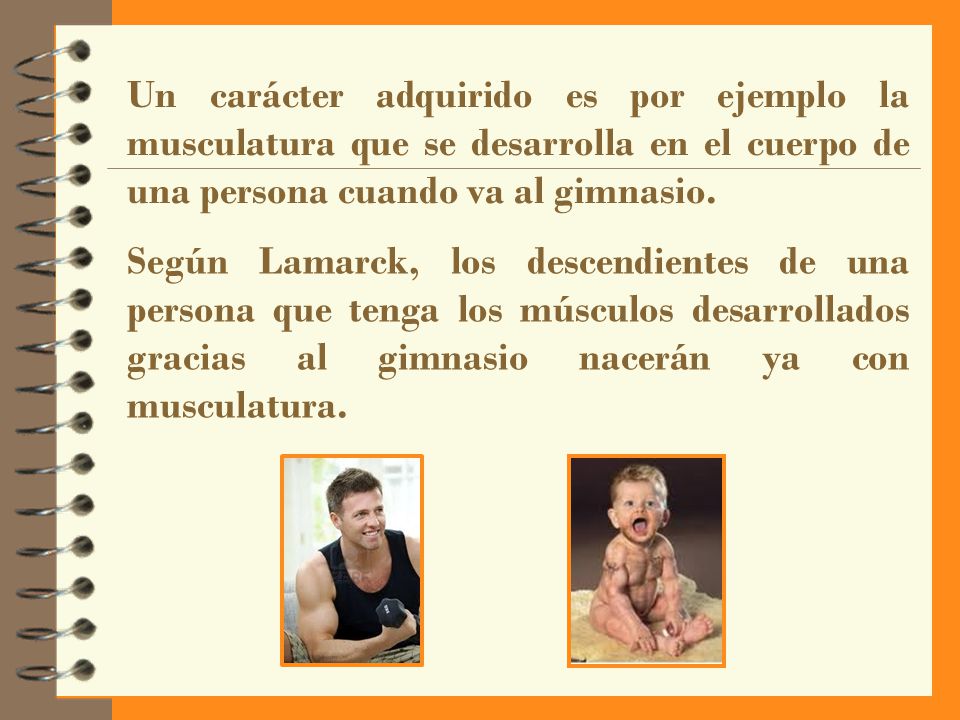 Un carácter adquirido es por ejemplo la musculatura que se desarrolla en el cuerpo de una persona cuando va al gimnasio.