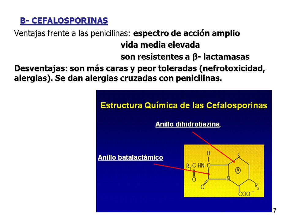 B- CEFALOSPORINAS Ventajas frente a las penicilinas: espectro de acción amplio. vida media elevada.