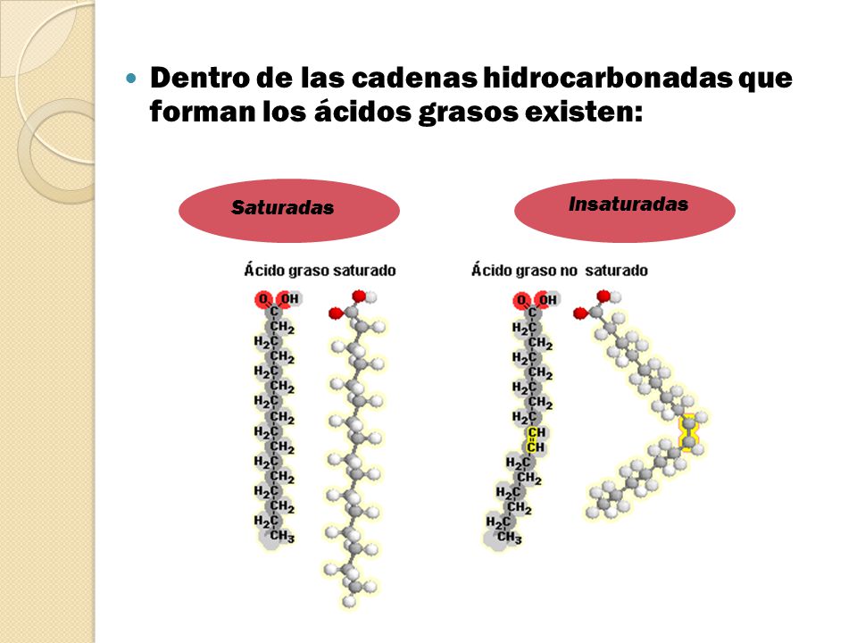 Dentro de las cadenas hidrocarbonadas que forman los ácidos grasos existen: