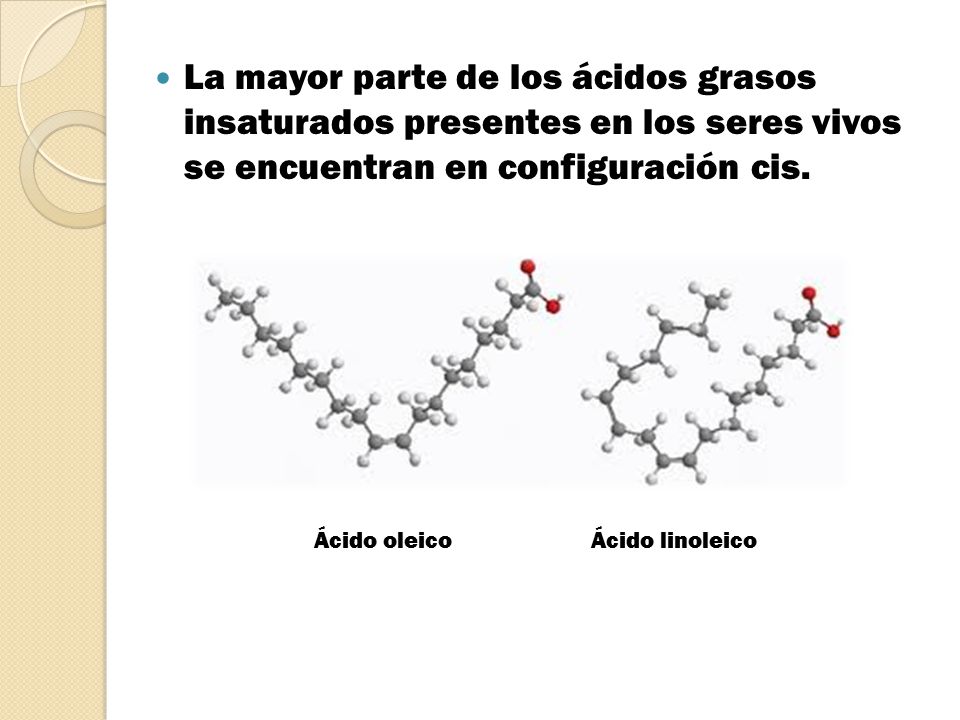 La mayor parte de los ácidos grasos insaturados presentes en los seres vivos se encuentran en configuración cis.