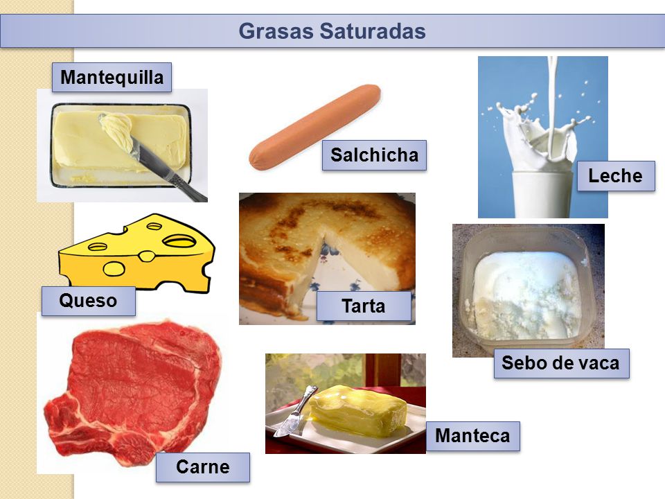 Grasas Saturadas Mantequilla Salchicha Leche Queso Tarta Sebo de vaca