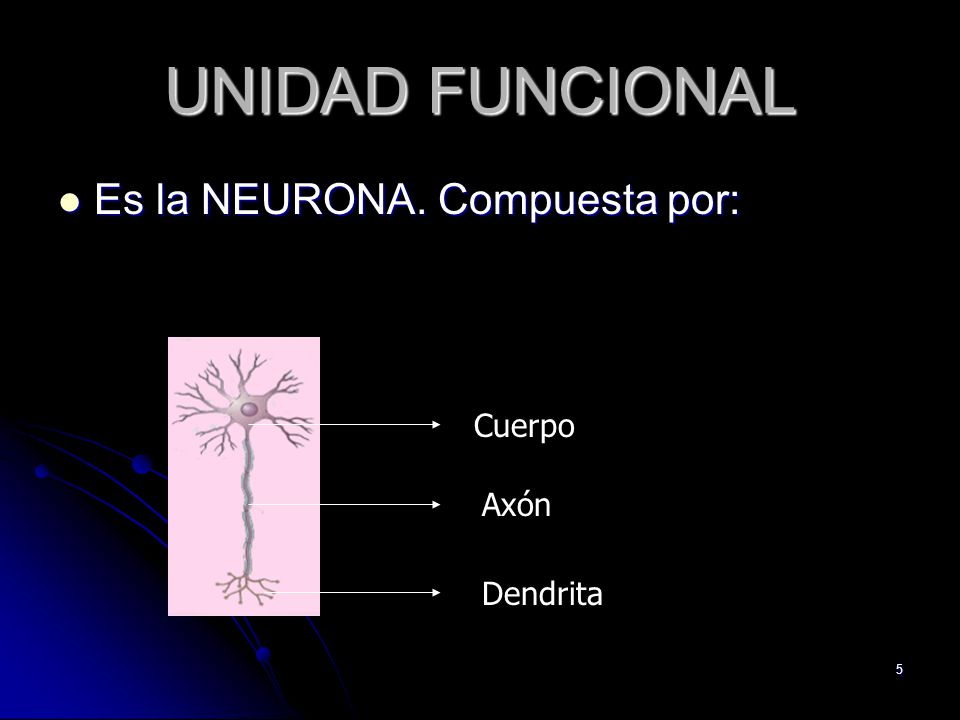 UNIDAD FUNCIONAL Es la NEURONA. Compuesta por: Cuerpo Axón Dendrita