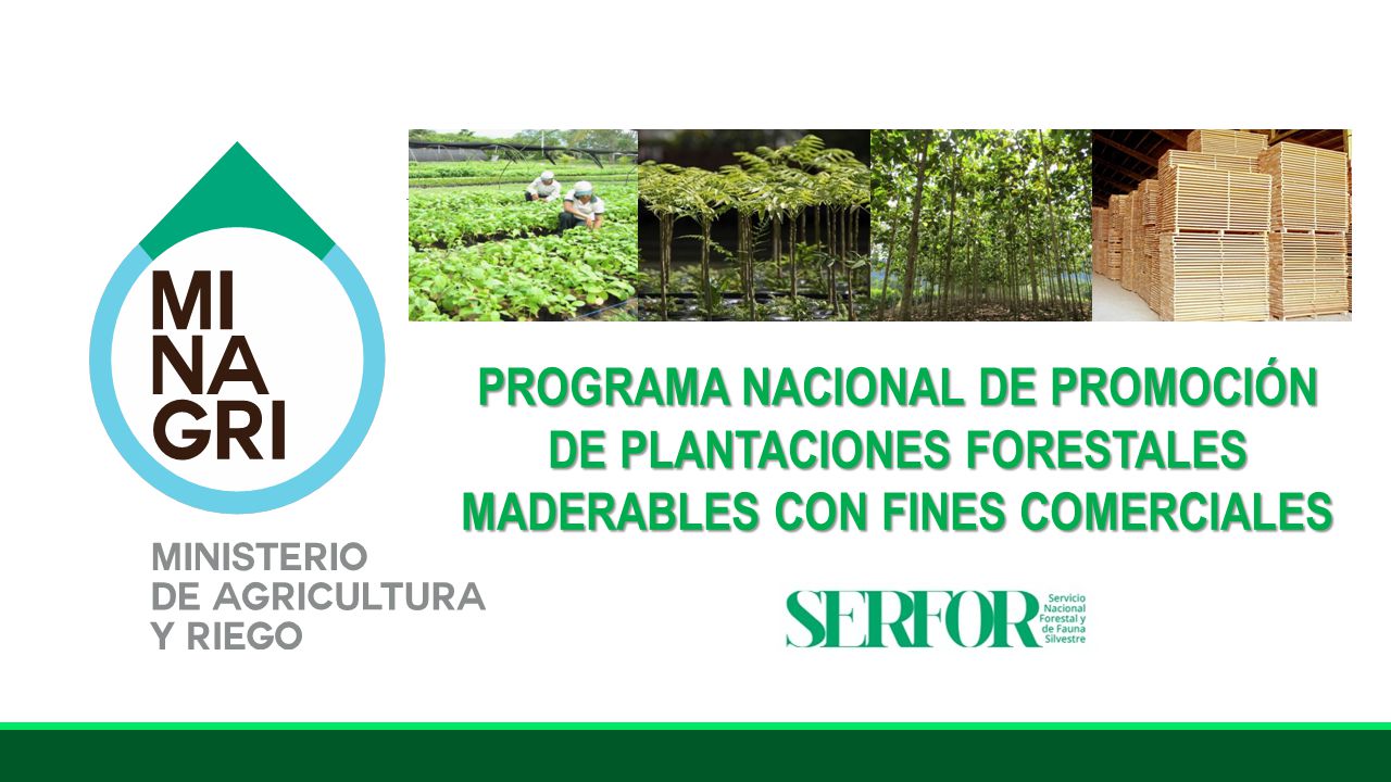 PROGRAMA NACIONAL DE PROMOCIÓN DE PLANTACIONES FORESTALES MADERABLES CON FINES COMERCIALES