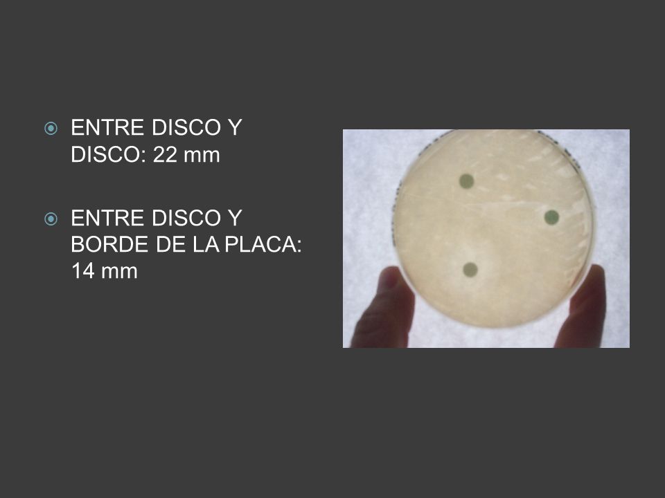 ENTRE DISCO Y DISCO: 22 mm ENTRE DISCO Y BORDE DE LA PLACA: 14 mm