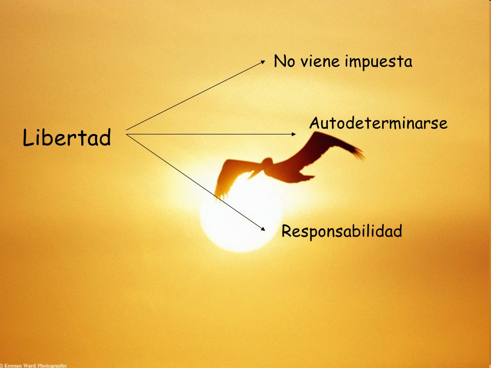 No viene impuesta Autodeterminarse Libertad Responsabilidad
