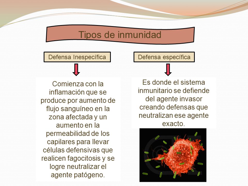 Tipos de inmunidad Defensa Inespecífica. Defensa específica.