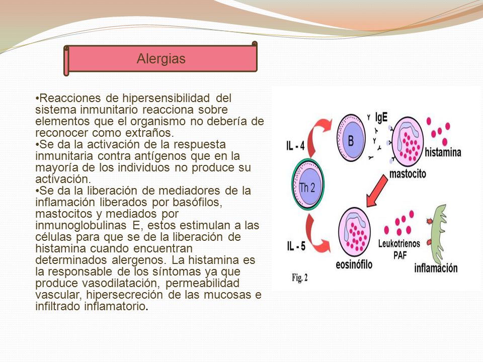 Alergias Reacciones de hipersensibilidad del sistema inmunitario reacciona sobre elementos que el organismo no debería de reconocer como extraños.