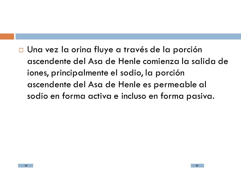 Una vez la orina fluye a través de la porción ascendente del Asa de Henle comienza la salida de iones, principalmente el sodio, la porción ascendente del Asa de Henle es permeable al sodio en forma activa e incluso en forma pasiva.