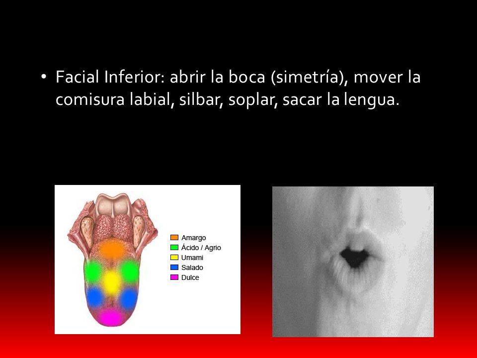 Facial Inferior: abrir la boca (simetría), mover la comisura labial, silbar, soplar, sacar la lengua.