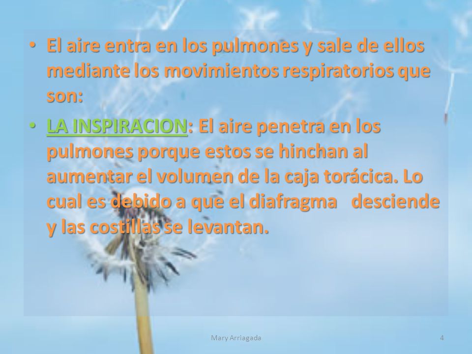 El aire entra en los pulmones y sale de ellos mediante los movimientos respiratorios que son: