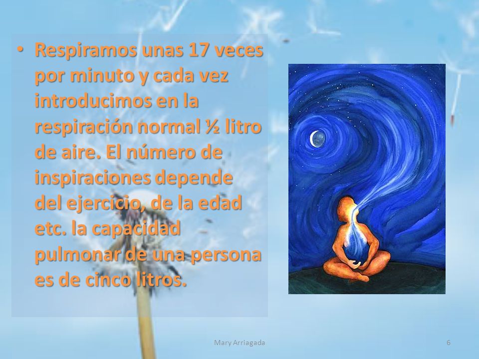 Respiramos unas 17 veces por minuto y cada vez introducimos en la respiración normal ½ litro de aire. El número de inspiraciones depende del ejercicio, de la edad etc. la capacidad pulmonar de una persona es de cinco litros.
