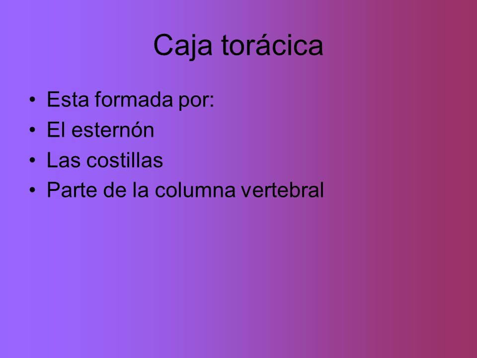 Caja torácica Esta formada por: El esternón Las costillas