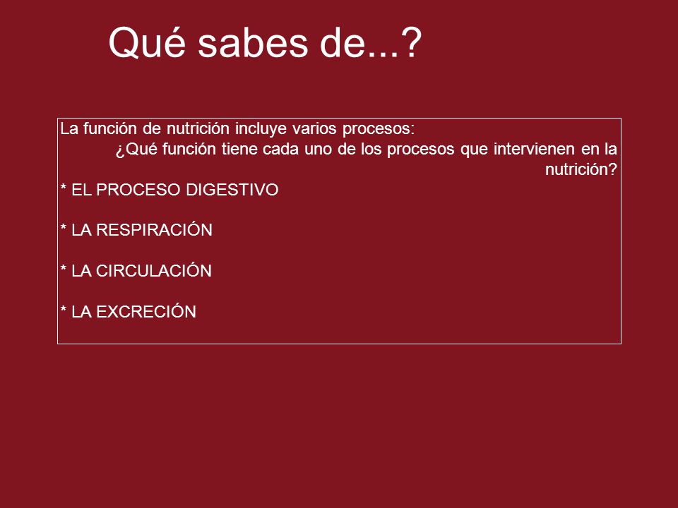 Qué sabes de... La función de nutrición incluye varios procesos: