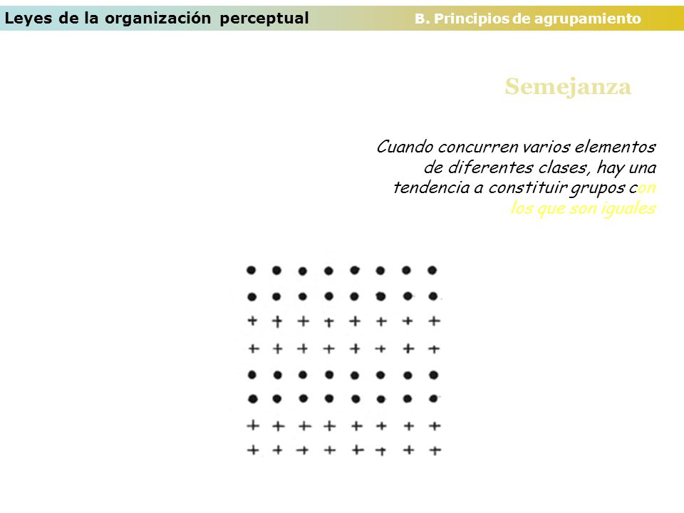 Leyes de la organización perceptual B. Principios de agrupamiento
