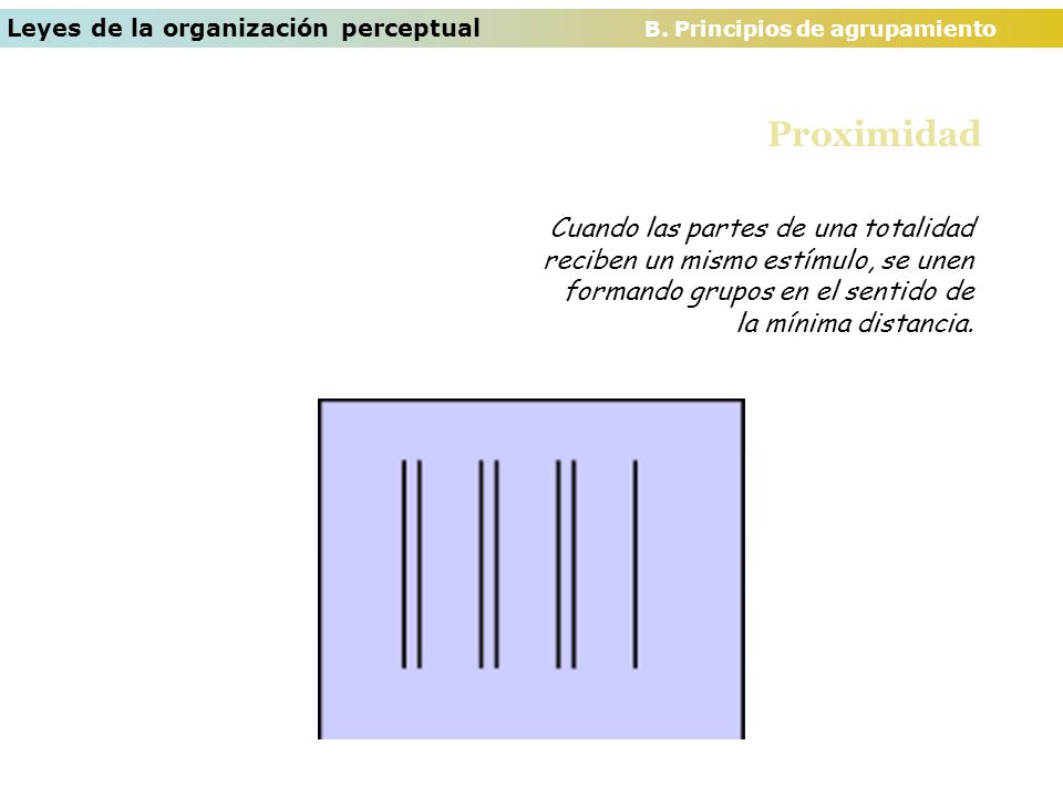 Leyes de la organización perceptual B. Principios de agrupamiento