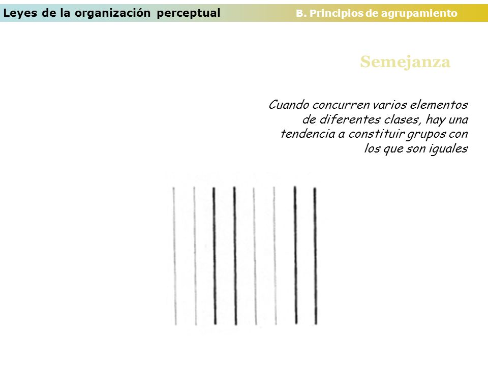 Leyes de la organización perceptual B. Principios de agrupamiento