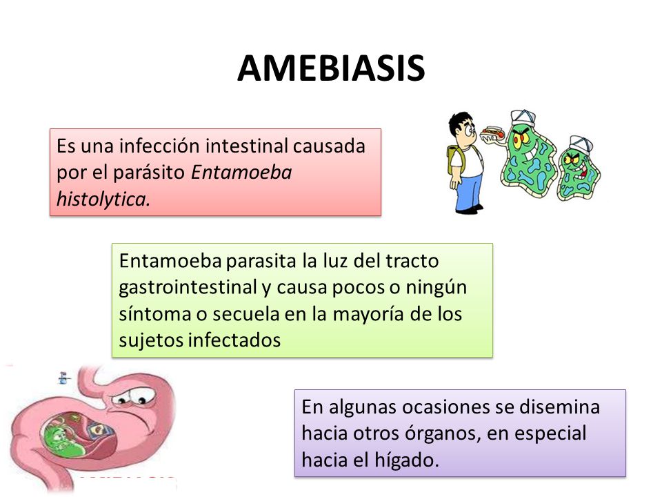 AMEBIASIS Es una infección intestinal causada por el parásito Entamoeba histolytica.