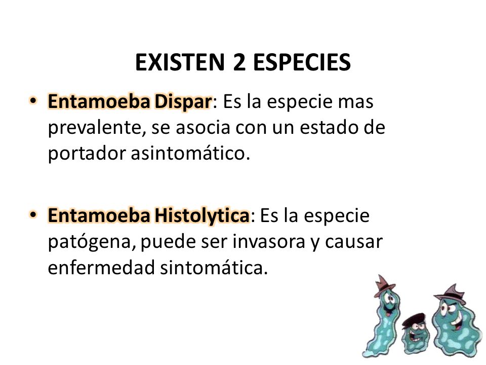 EXISTEN 2 ESPECIES Entamoeba Dispar: Es la especie mas prevalente, se asocia con un estado de portador asintomático.