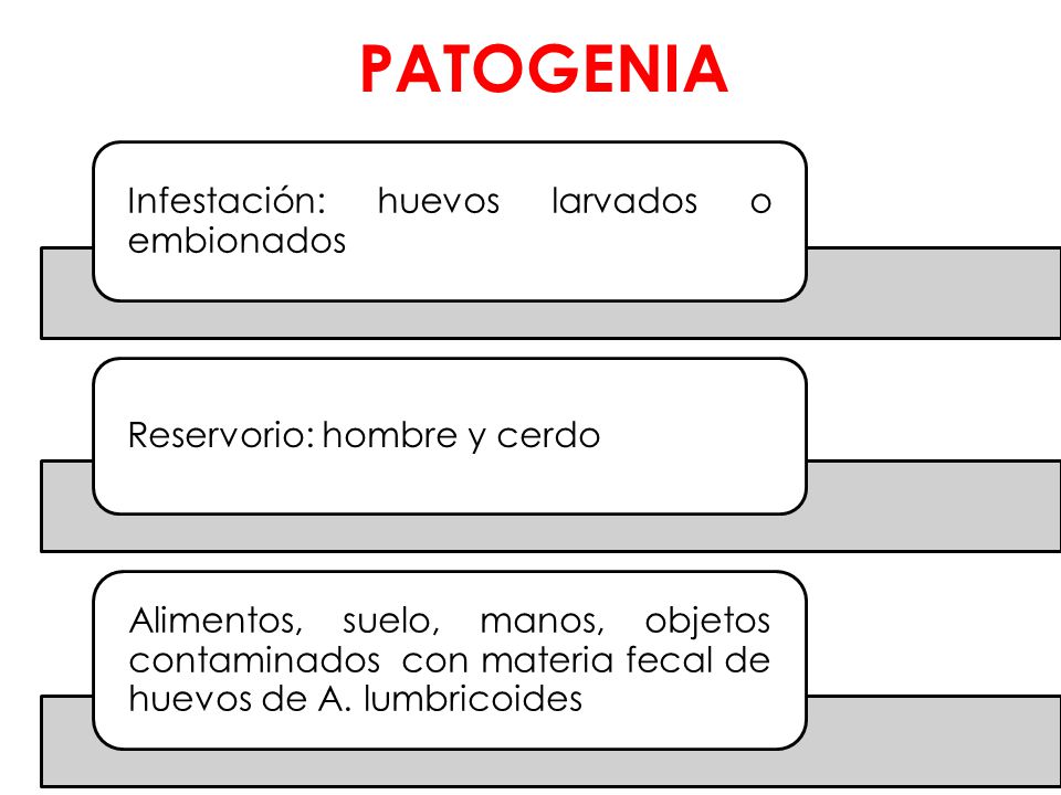 PATOGENIA Infestación: huevos larvados o embionados. Reservorio: hombre y cerdo.