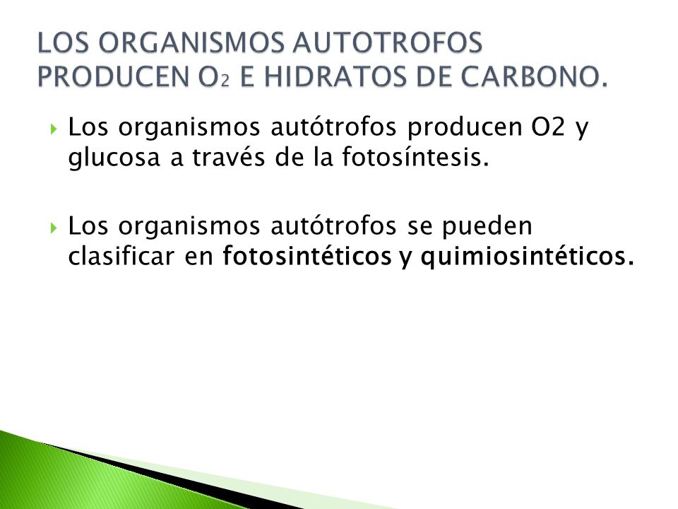 LOS ORGANISMOS AUTOTROFOS PRODUCEN O2 E HIDRATOS DE CARBONO.