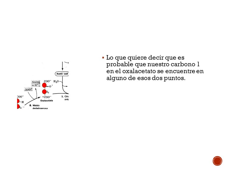 Lo que quiere decir que es probable que nuestro carbono 1 en el oxalacetato se encuentre en alguno de esos dos puntos.