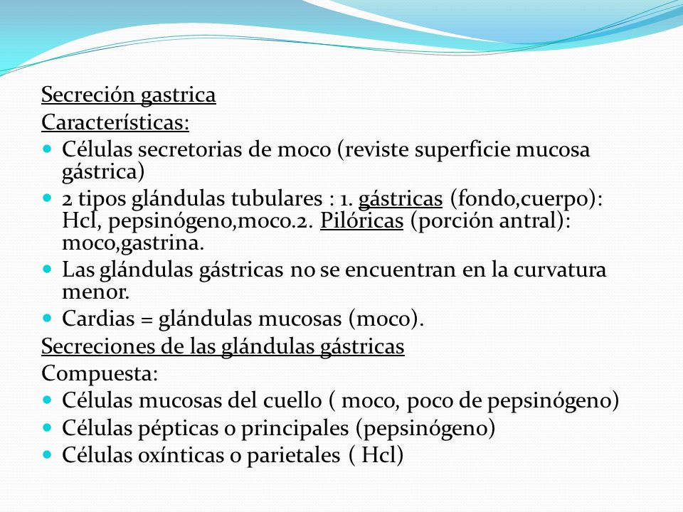 Secreción gastrica Características: Células secretorias de moco (reviste superficie mucosa gástrica)