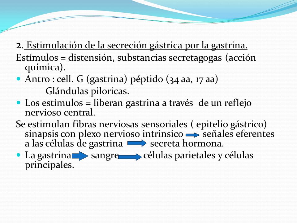 2. Estimulación de la secreción gástrica por la gastrina.