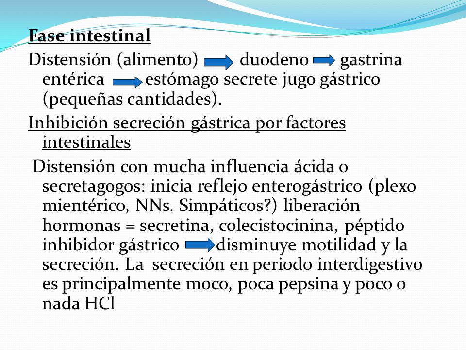 Fase intestinal Distensión (alimento) duodeno gastrina entérica estómago secrete jugo gástrico (pequeñas cantidades).