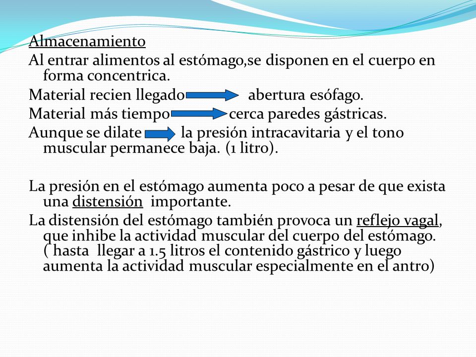 Almacenamiento Al entrar alimentos al estómago,se disponen en el cuerpo en forma concentrica.
