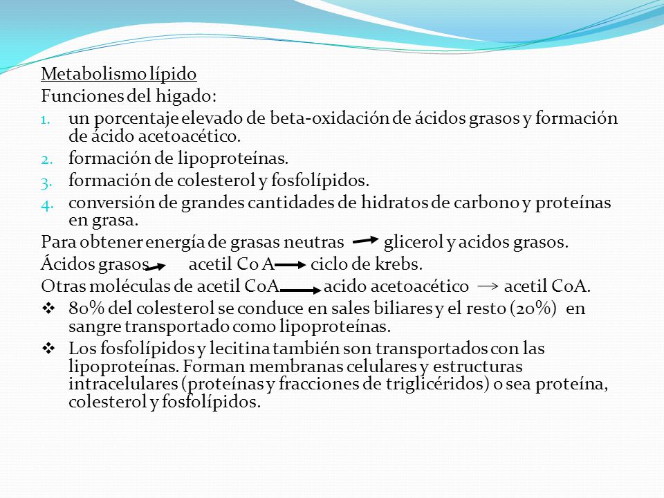 Metabolismo lípido Funciones del higado: un porcentaje elevado de beta-oxidación de ácidos grasos y formación de ácido acetoacético.