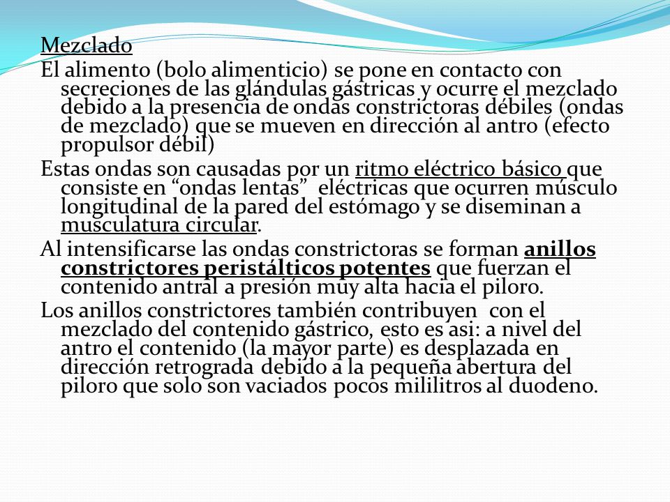 Mezclado El alimento (bolo alimenticio) se pone en contacto con secreciones de las glándulas gástricas y ocurre el mezclado debido a la presencia de ondas constrictoras débiles (ondas de mezclado) que se mueven en dirección al antro (efecto propulsor débil) Estas ondas son causadas por un ritmo eléctrico básico que consiste en ondas lentas eléctricas que ocurren músculo longitudinal de la pared del estómago y se diseminan a musculatura circular.