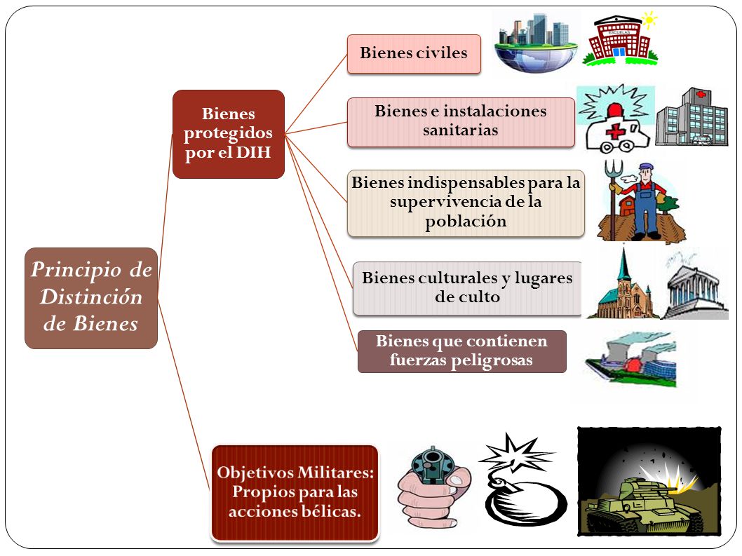 Principio de Distinción de Bienes