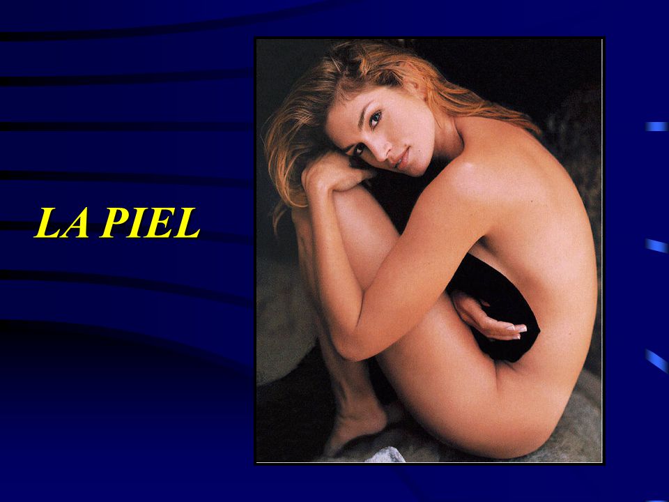 LA PIEL