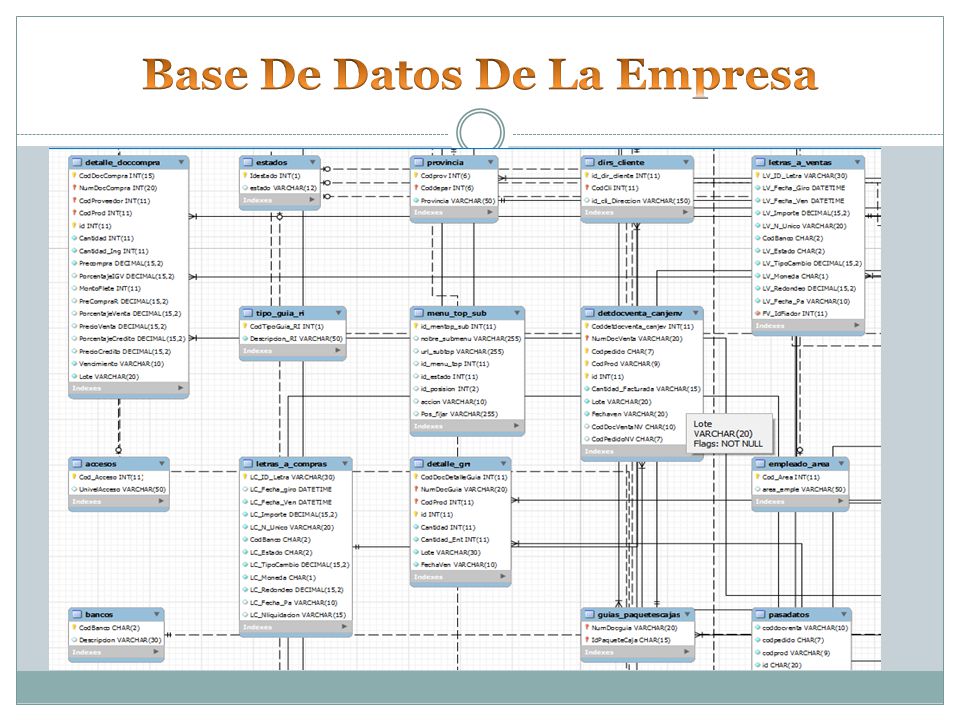 Base De Datos De La Empresa