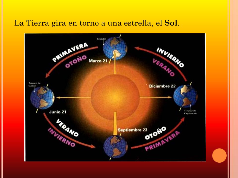 La Tierra gira en torno a una estrella, el Sol.