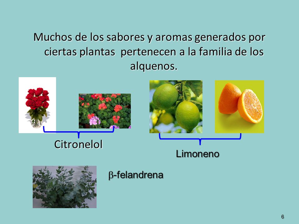 Muchos de los sabores y aromas generados por ciertas plantas pertenecen a la familia de los alquenos.