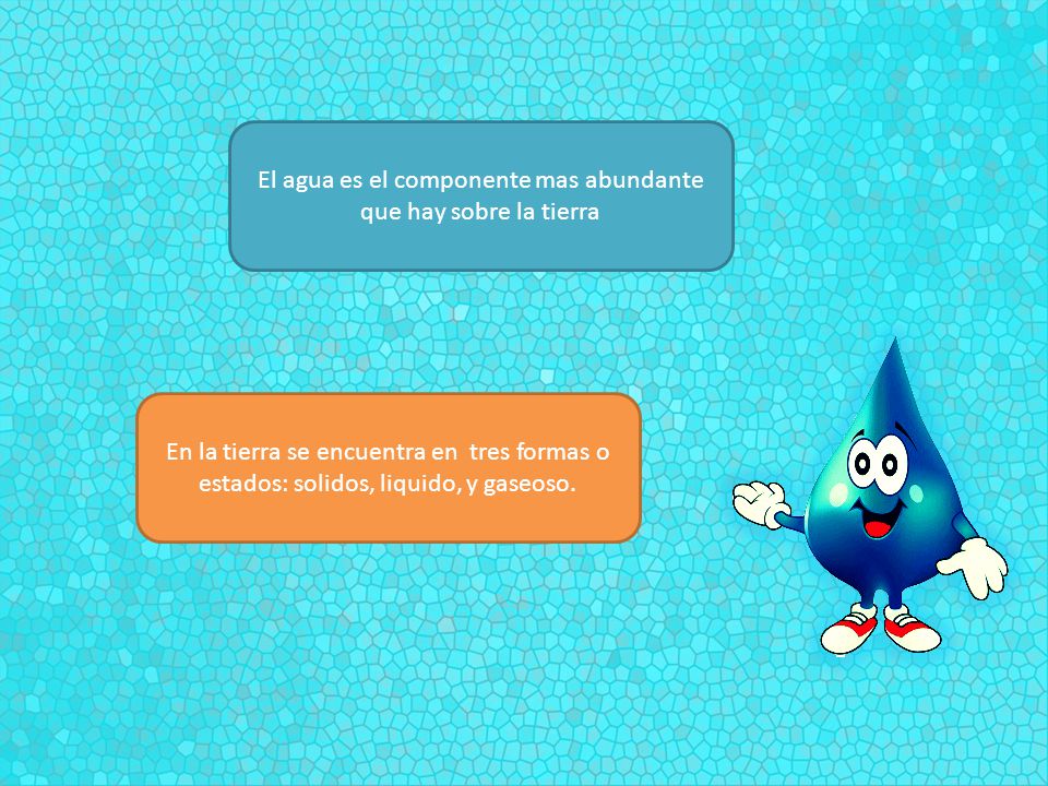 El agua es el componente mas abundante que hay sobre la tierra